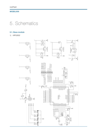 neoFlash Introduction | PDF