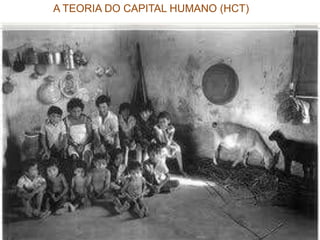 A TEORIA DO CAPITAL HUMANO (HCT)Emerge da economia neoclássica na segunda metade do século XIXinvestimento na educação explica o crescimento econômico.um investimento que possui retorno. mecanismo de adaptação funcional do sistema social no contexto de “ competição perfeita”. equilíbrio como um produto da seleção natural da pratica competitivacomportamentalismo humano toda a ação humana como um fim ou com resultados em vistaGary Becker / Hayek capital humano como um produto comerciável capaz de se organizar de acordo com os princípios das mudanças de mercado.Gary Becker / Friedman 