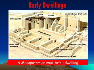 Neolithic Age[1] | PPT