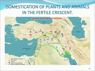 DOMESTICATION OF PLANTS AND ANIMALS
IN THE FERTILE CRESCENT.
13
 