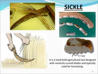 SICKLE
It is a hand-held agricultural tool designed
with variously curved blades and typically
used for harvesting.
4
 