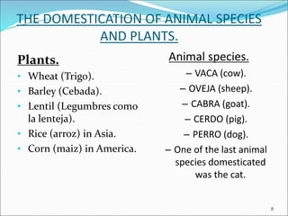 THE DOMESTICATION OF ANIMAL SPECIES
AND PLANTS.
Plants.
• Wheat (Trigo).
• Barley (Cebada).
• Lentil (Legumbres como
la lenteja).
• Rice (arroz) in Asia.
• Corn (maiz) in America.
Animal species.
– VACA (cow).
– OVEJA (sheep).
– CABRA (goat).
– CERDO (pig).
– PERRO (dog).
– One of the last animal
species domesticated
was the cat.
8
 