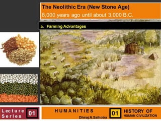 Neolithic era