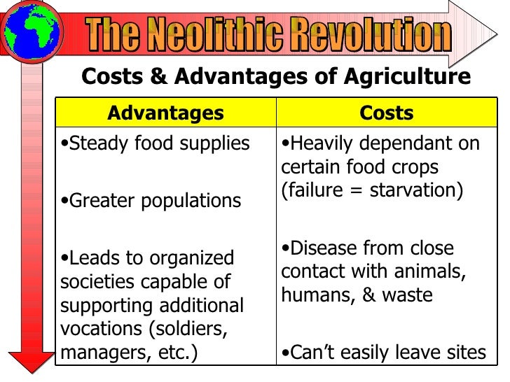 What was the government like during the Neolithic Revolution?