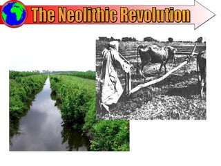 The Neolithic Revolution 