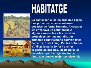 HABITATGEEs comencen a fer les primeres cases. Les primeres cabanes  estaven posades de forma irregular. A vegades les envoltava un petit fossat. A algunes zones, les viles  estaven protegides per una muralla. Les primeres construccions estaven fetes de pedra, fusta i fang. Per les cobertes s'utilitzava palla, joncs i d'altres vegetals de poc pes, ideals per a les cobertes o per barrejar-se amb el fang, que donava major consistència.