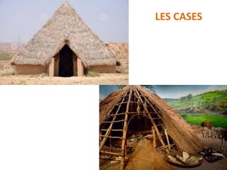 LES CASES
 