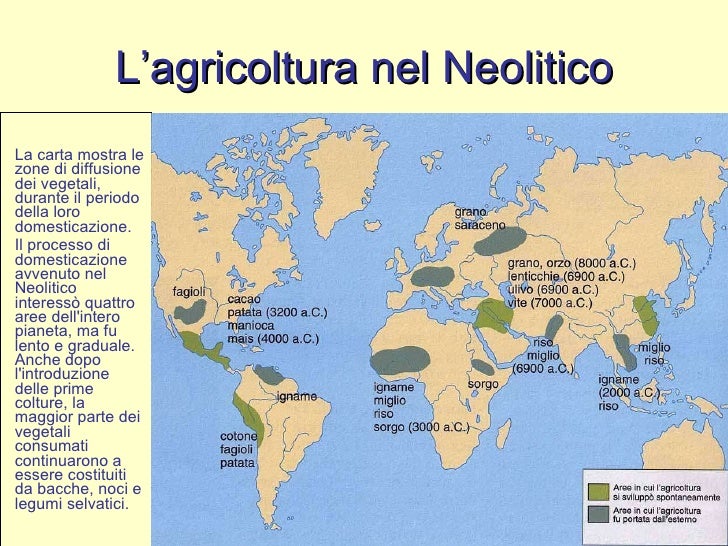 L'uomo Imparo A Praticarlo Nel Neolitico Insieme All'agricoltura Neolitico