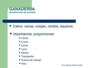 Neolítico | PPT