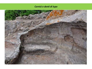 Cornici e denti di lupo
 