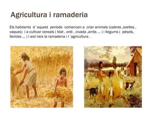 Agricultura i ramaderia
Els habitants d´aquest període comencen a criar animals (cabres ,ovelles ,
vaques) i a cultivar cereals ( blat , ordi , civada ,arròs … ) i llegums ( pèsols,
llenties … ) i així neix la ramaderia i l´agricultura .

 