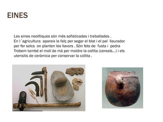 EINES
Les eines neolítiques són més sofisticades i treballades .
En l´agricultura apareix la falç per segar el blat i el pal llaurador
per fer solcs on planten les llavors . Són fets de fusta i pedra
Trobem també el molí de mà per moldre la collita (cereals…) i els
utensilis de ceràmica per conservar la collita .

 