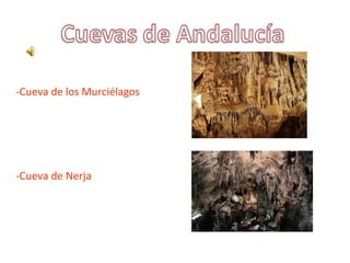 -Cueva de los Murciélagos
-Cueva de Nerja
 