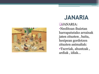 JANARIA
JANARIA:
•Neolitoan ibaietan
harrapatutako arrainak
jaten zituzten , baita,
hesipean gordetzen
zituzten animaliak:
Txerriak, ahuntzak ,
ardiak , idiak…
 