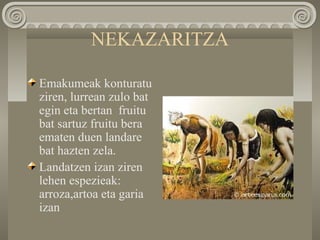 NEKAZARITZA
Emakumeak konturatu
ziren, lurrean zulo bat
egin eta bertan fruitu
bat sartuz fruitu bera
ematen duen landare
bat hazten zela.
Landatzen izan ziren
lehen espezieak:
arroza,artoa eta garia
izan
 