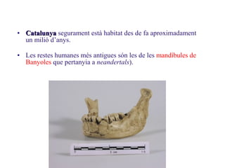 • CatalunyaCatalunya segurament està habitat des de fa aproximadament
un milió d’anys.
• Les restes humanes més antigues s...