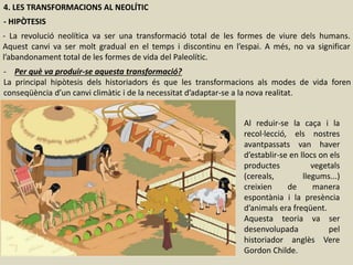 4. LES TRANSFORMACIONS AL NEOLÍTIC
- HIPÒTESIS
- La revolució neolítica va ser una transformació total de les formes de viure dels humans.
Aquest canvi va ser molt gradual en el temps i discontinu en l’espai. A més, no va significar
l’abandonament total de les formes de vida del Paleolític.
- Per què va produir-se aquesta transformació?
La principal hipòtesis dels historiadors és que les transformacions als modes de vida foren
conseqüència d’un canvi climàtic i de la necessitat d’adaptar-se a la nova realitat.
Al reduir-se la caça i la
recol·lecció, els nostres
avantpassats van haver
d’establir-se en llocs on els
productes vegetals
(cereals, llegums...)
creixien de manera
espontània i la presència
d’animals era freqüent.
Aquesta teoria va ser
desenvolupada pel
historiador anglès Vere
Gordon Childe.
 