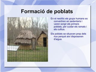 En aquesta etapa els humans varen començar a cultivar primer blat i arrós, i després altres plantes. </li></ul>