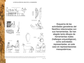 Esquema de las actividades ganaderas del Neolítico relacionadas con sus herramientas. Se han elegido tanto dibujos de herramientas reales (hallazgos arqueológicos), como actividades representadas, en este caso en representaciones mesopotámicas.  