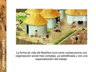 La forma de vida del Neolítico tuvo como consecuencia una organización social más compleja, ya estratificada y con una especialización del trabajo. Cambios sociales 