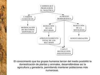 El conocimiento que los grupos humanos tenían del medio posibilitó la domesticación de plantas y animales, desarrollándose así la agricultura y ganadería, permitiendo mantener poblaciones más numerosas.  