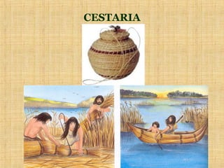 CESTARIA
 