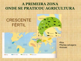 A PRIMEIRA ZONA
ONDE SE PRATICOU AGRICULTURA


CRESCENTE
  FÉRTIL



                     •Rios
                     •Plantas selvagens
                     •Animais
 