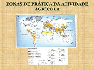 ZONAS DE PRÁTICA DA ATIVIDADE
          AGRÍCOLA
 