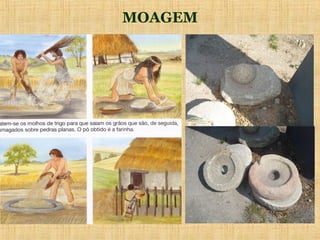 MOAGEM
 