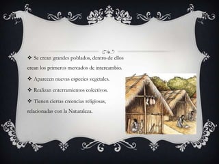  Se crean grandes poblados, dentro de ellos
crean los primeros mercados de intercambio.
 Aparecen nuevas especies vegetales.
 Realizan enterramientos colectivos.
 Tienen ciertas creencias religiosas,

relacionadas con la Naturaleza.

 
