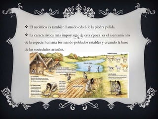  El neolítico es también llamado edad de la piedra pulida.
 La característica más importante de esta época es el asentamiento
de la especie humana formando poblados estables y creando la base
de las sociedades actuales.

 