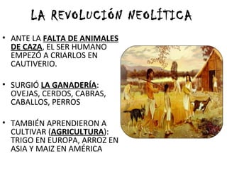 LA REVOLUCIÓN NEOLÍTICA
• ANTE LA FALTA DE ANIMALES
DE CAZA, EL SER HUMANO
EMPEZÓ A CRIARLOS EN
CAUTIVERIO.
• SURGIÓ LA GANADERÍA:
OVEJAS, CERDOS, CABRAS,
CABALLOS, PERROS
• TAMBIÉN APRENDIERON A
CULTIVAR (AGRICULTURA):
TRIGO EN EUROPA, ARROZ EN
ASIA Y MAIZ EN AMÉRICA
 