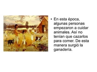 ● En esta época,
algunas personas
empezaron a cuidar
animales. Así no
tenían que cazarlos
para comer. De esta
manera surgió la
ganadería.
 
