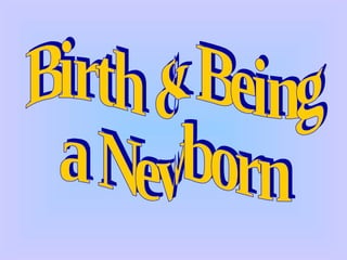 Birth & Being a Newborn 
