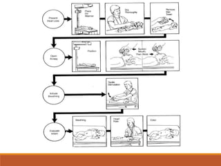 Neonatal resuscitation | PPT