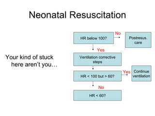 Neonatal Resuscitation Flow Sheet