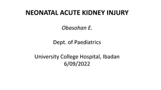 NEONATAL ACUTE KIDNEY INJURY
Obasohan E.
Dept. of Paediatrics
University College Hospital, Ibadan
6/09/2022
 