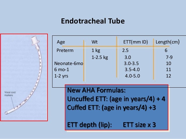 What Is The Size Of A Pediatric Ett Tube? – XERX