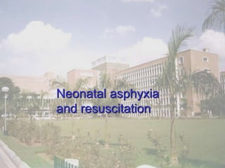 Neonatal asphyxia
and resuscitation
 