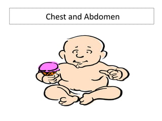 Chest and Abdomen
 