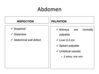 Abdomen
INSPECTION
 Scaphoid
 Distention
 Abdominal wall defect
PALPATION
 Kidneys are normally
palpable
 Liver 2-3 cm
 Spleen palpable
 Umbilical vessels
• 2 artery, one vein
 