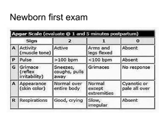 Newborn first exam
 