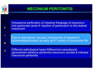 MECONIUM PERITONITIS
Intrauterine perforation of intestine leakage of meconium
into peritoneal cavity reaction of peritoneum to this leaked
meconium
Due to intrauterine vascular compromise of intestine
ischemia&perforation as early as 4th month of intrauterine life
Different pathological types Meconium pseudocyst,
generalised adhesive peritonitis,meconium ascites & infected
meconium peritonitis
P
I
M
S
 