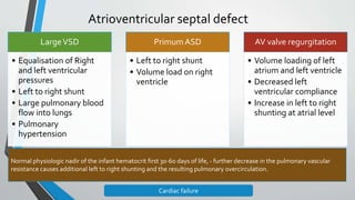 Atrioventricular septal defect 
Large VSD 
• Equalisation of Right 
and left ventricular 
pressures 
• Left to right shunt 
• Large pulmonary blood 
flow into lungs 
• Pulmonary 
hypertension 
Primum ASD 
• Left to right shunt 
• Volume load on right 
ventricle 
AV valve regurgitation 
• Volume loading of left 
atrium and left ventricle 
• Decreased left 
ventricular compliance 
• Increase in left to right 
shunting at atrial level 
Normal physiologic nadir of the infant hematocrit first 30-60 days of life, - further decrease in the pulmonary vascular 
resistance causes additional left to right shunting and the resulting pulmonary overcirculation. 
Cardiac failure 
 