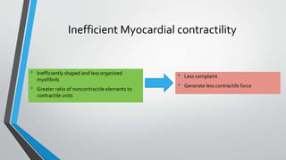 Inefficient Myocardial contractility 
• Less complaint 
• Generate less contractile force 
• Inefficiently shaped and less organized 
myofibrils 
• Greater ratio of noncontractile elements to 
contractile units 
 