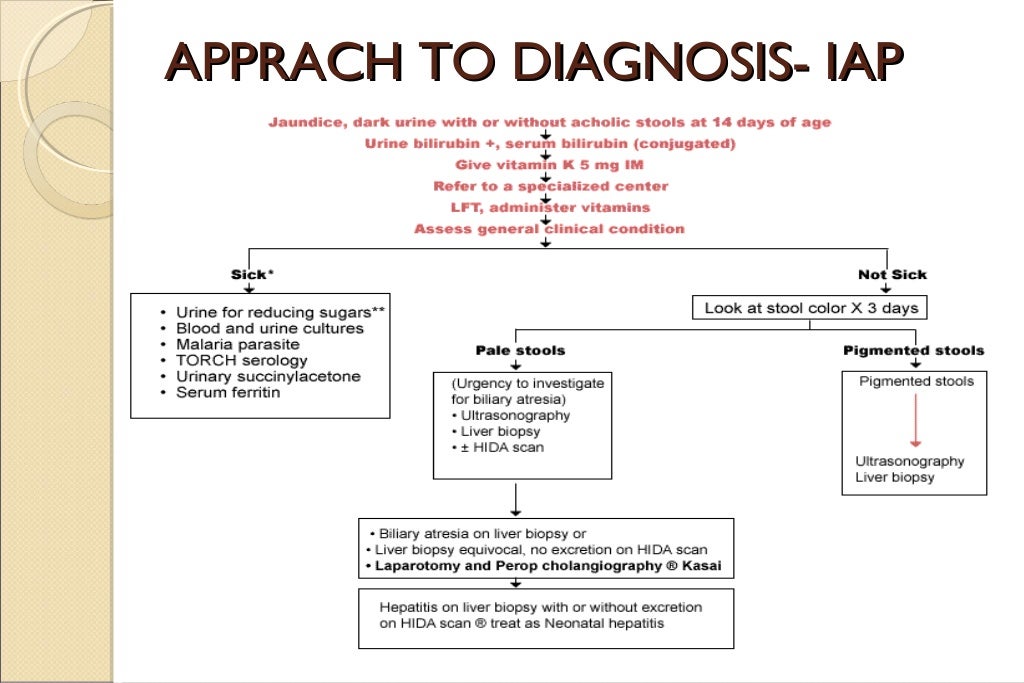 Neonatal cholestasis