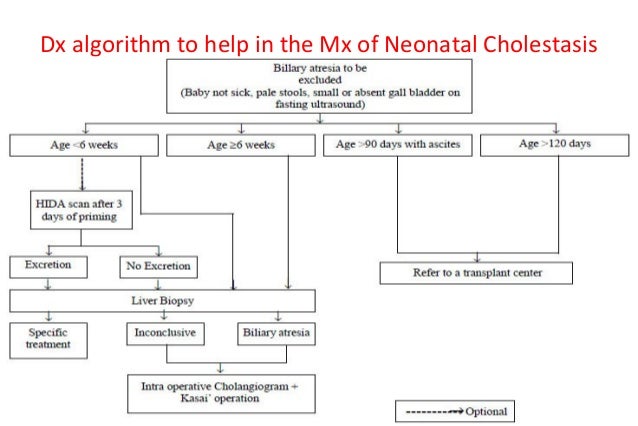 Neonatal Cholestasis Hperbilirubinemia Dr Trynaadh