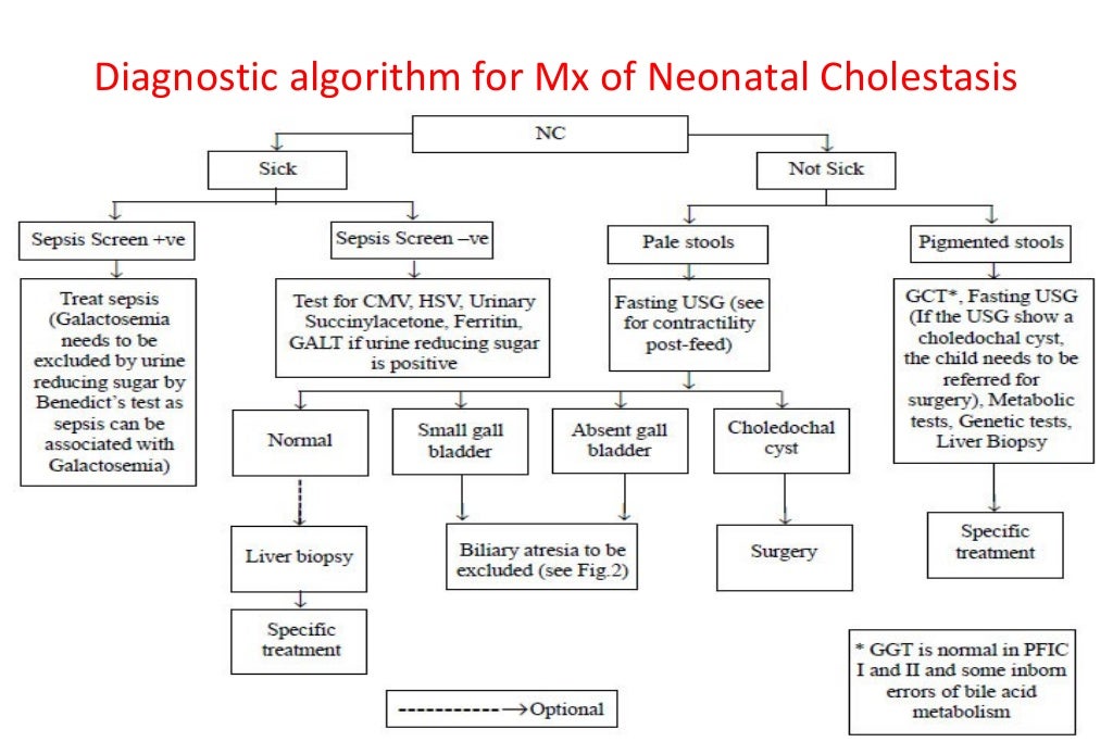 Neonatal cholestasis seminar