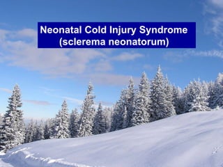 Neonatal Cold Injury Syndrome (sclerema neonatorum) 