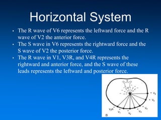 Horizontal System
• The R wave of V6 represents the leftward force and the R
wave of V2 the anterior force.
• The S wave in V6 represents the rightward force and the
S wave of V2 the posterior force.
• The R wave in V1, V3R, and V4R represents the
rightward and anterior force, and the S wave of these
leads represents the leftward and posterior force.
 